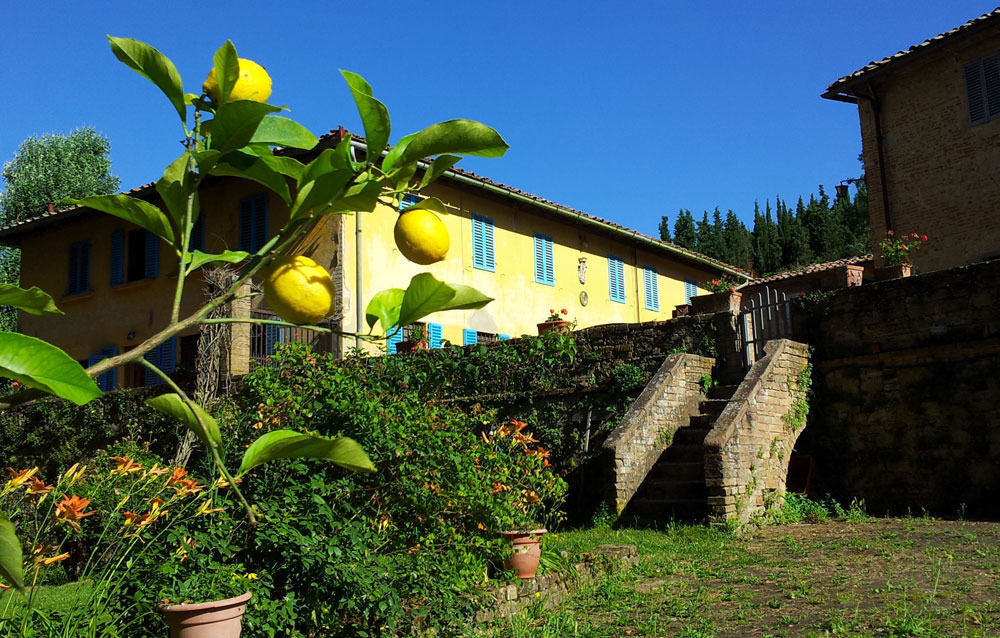 Bassetto Guesthouse & Apartments Certaldo Exterior photo